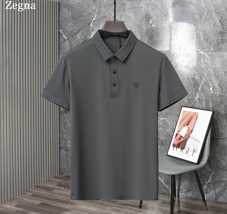 Zegna ������� 0331